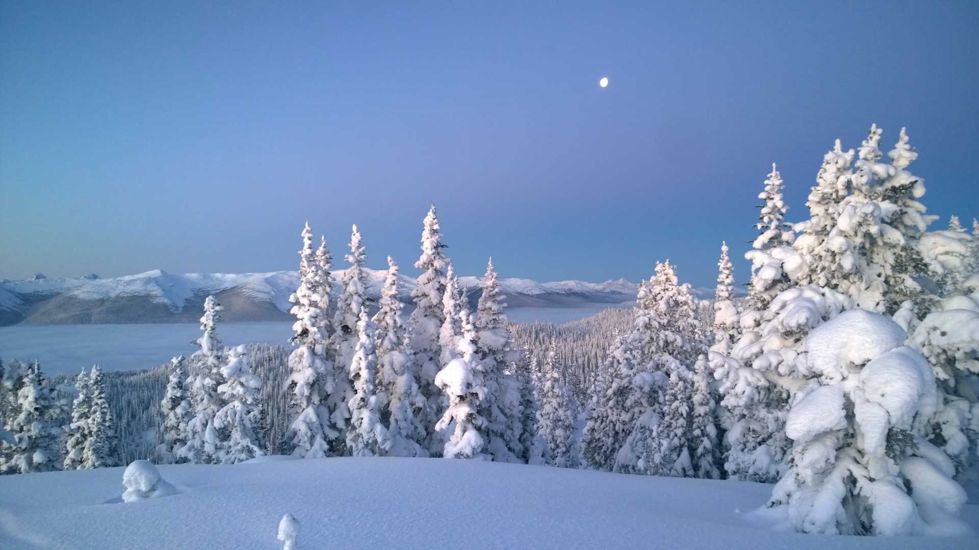 wx.